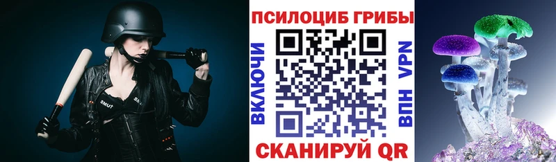 купить наркоту  Бронницы  Галлюциногенные грибы Psilocybe 